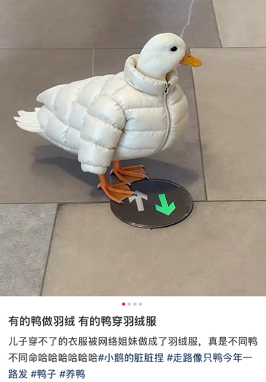 【爆笑】老公年薪100多万，但没有生育能力，我该离婚么（组图） - 58