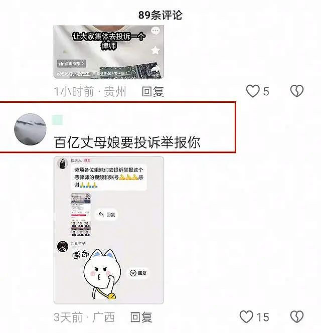曝杜星霖“雇佣”水军投诉律师,聊天记录被曝(组图) - 7