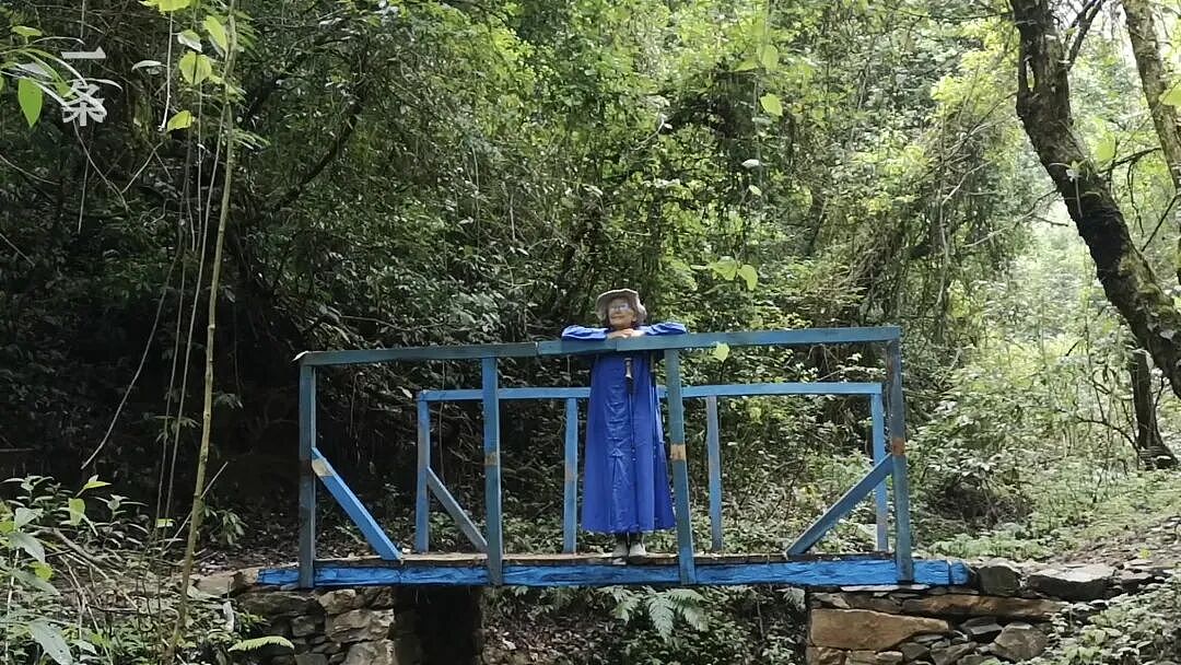 53岁拿博士，80岁出家，91岁在互联网火了：她活成一代传奇（组图） - 1
