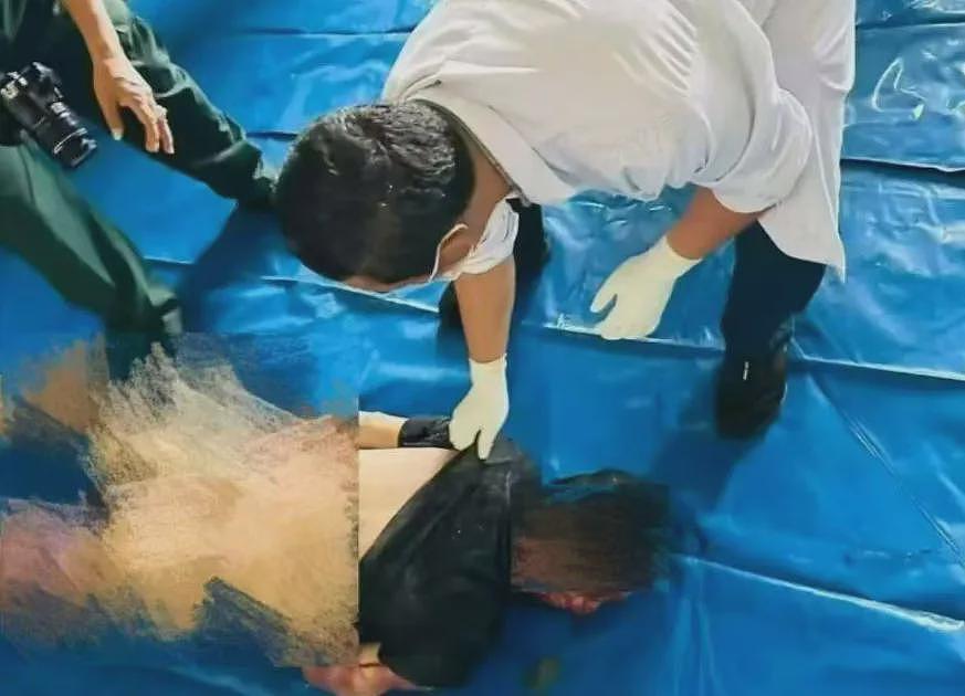 学霸之死，让太子集团覆灭（组图） - 15