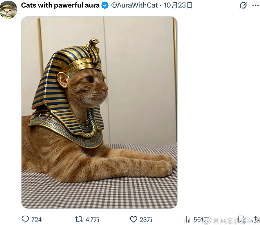 【爆笑】老公年薪100多万，但没有生育能力，我该离婚么（组图） - 35