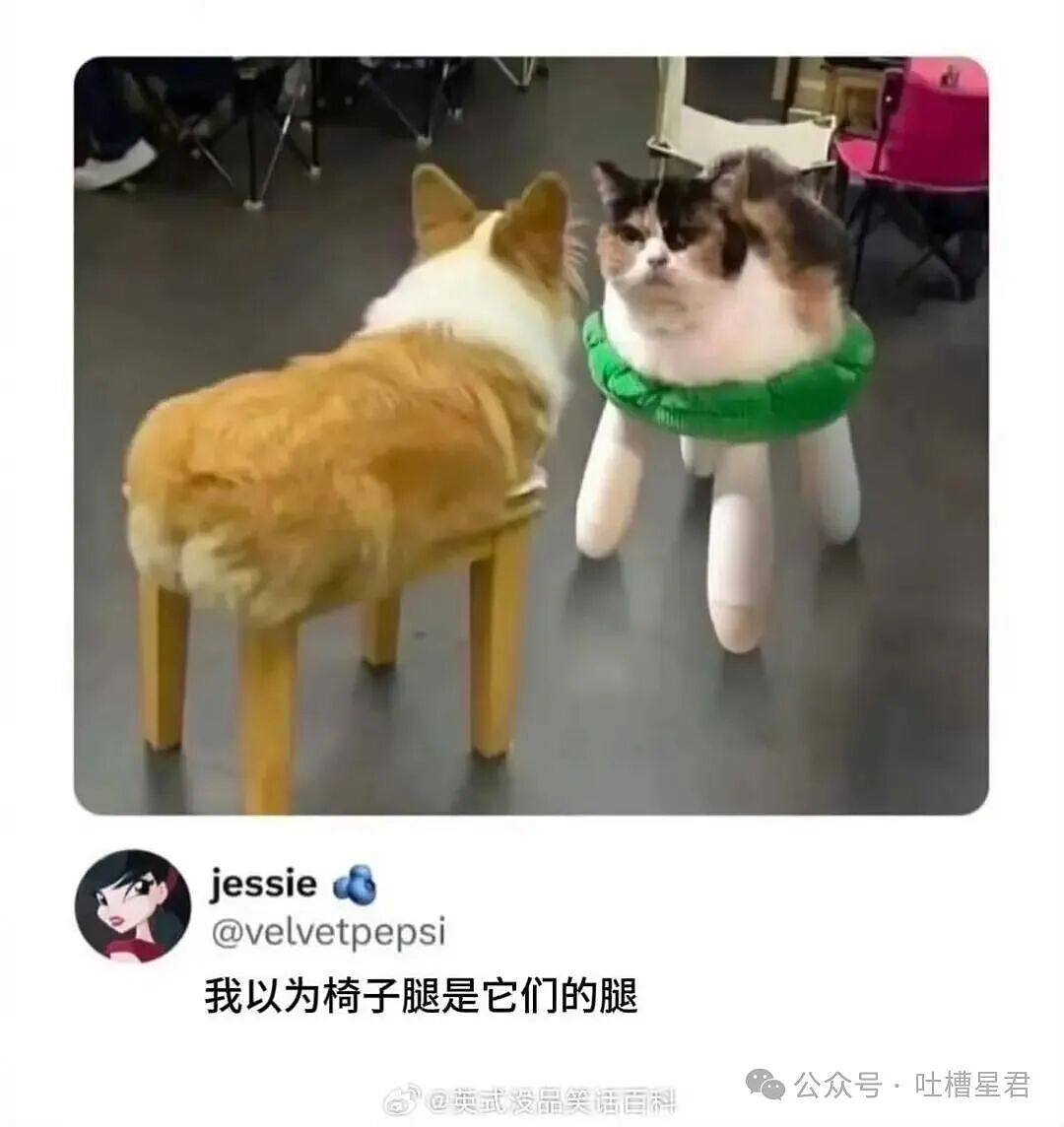 【爆笑】男朋友失联5天后被告知他die了…？啊啊啊不会是他老婆发现你了吧（组图） - 27