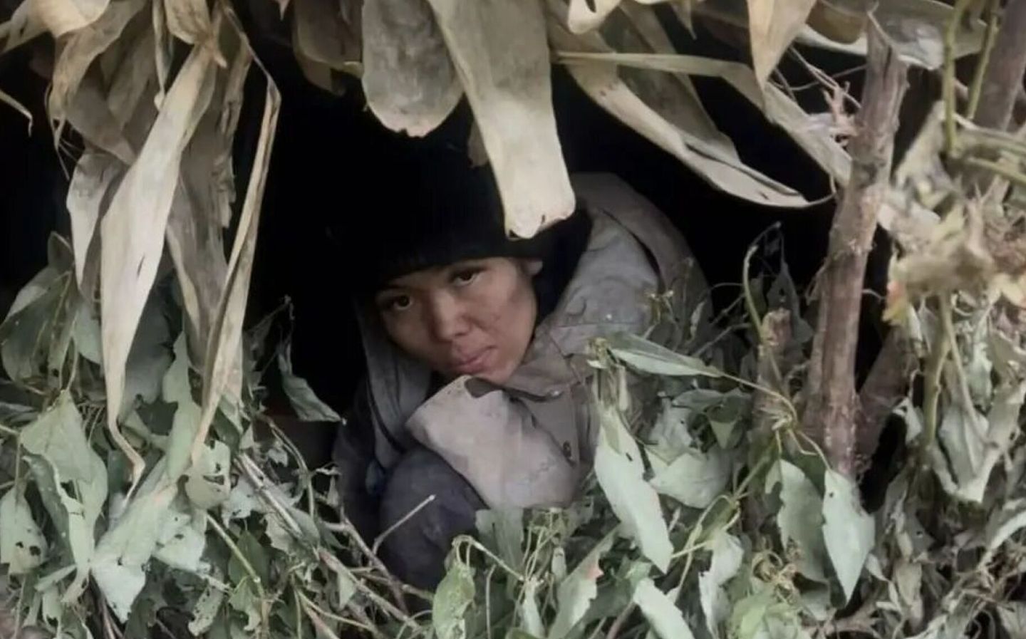 张家界“荒野求生”百人参赛剩22人，仅存女选手半个月暴瘦如野人（组图） - 4