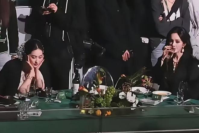 杨幂新剧拿奖,赵丽颖评奖期内颗粒无收,85花top还能争十年(组图) - 4