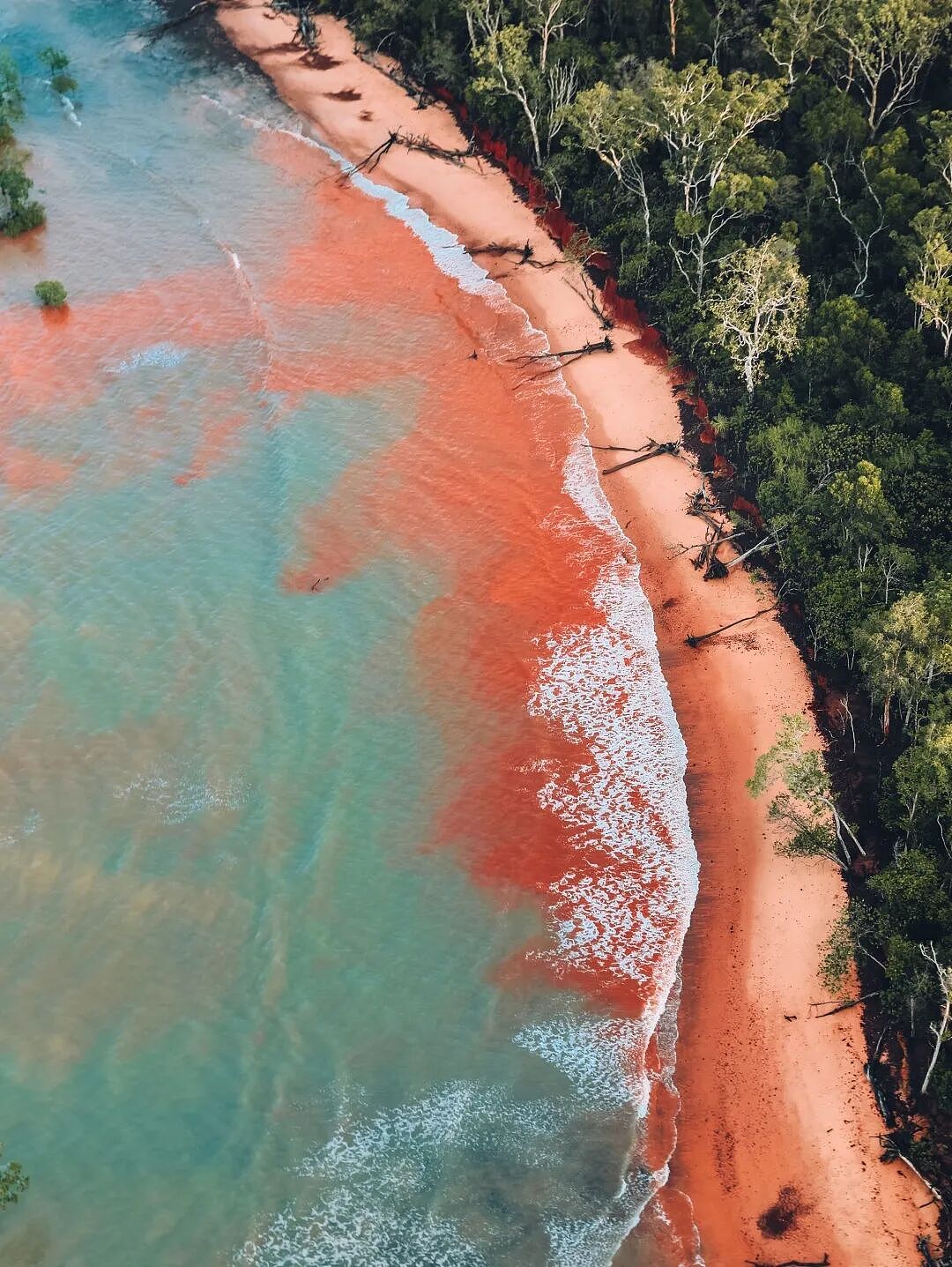 北领地北端地区,有你未曾见过的澳大利亚|地区指南(组图) - 22