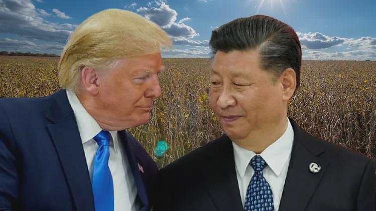 降税换买黄豆！华尔街日报：美降低芬太尼关税10%，中恢复购买农产品（组图） - 1