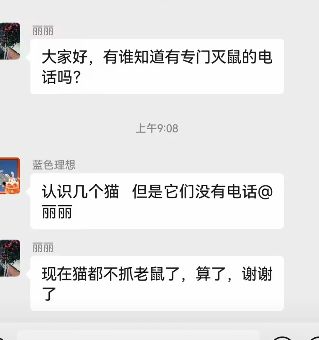 【爆笑】“男朋友失恋5天后等来死讯信息?” 哈哈哈哈哈哈结局我是万万没想到的(组图) - 47