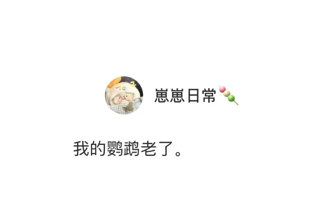 【爆笑】“男朋友失恋5天后等来死讯信息?” 哈哈哈哈哈哈结局我是万万没想到的(组图) - 34