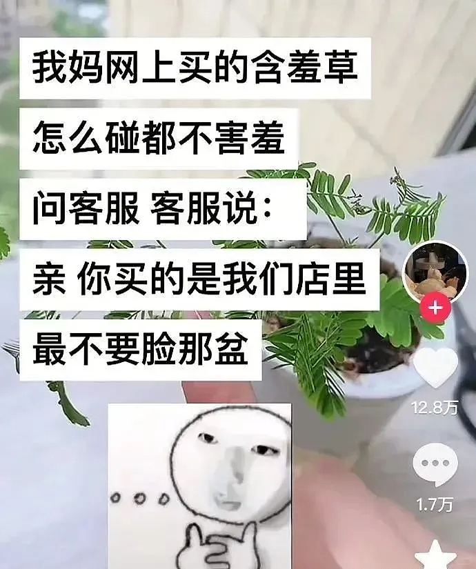 【爆笑】“男朋友失恋5天后等来死讯信息?” 哈哈哈哈哈哈结局我是万万没想到的(组图) - 69