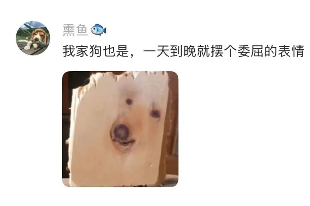 【爆笑】“男朋友失恋5天后等来死讯信息?” 哈哈哈哈哈哈结局我是万万没想到的(组图) - 42