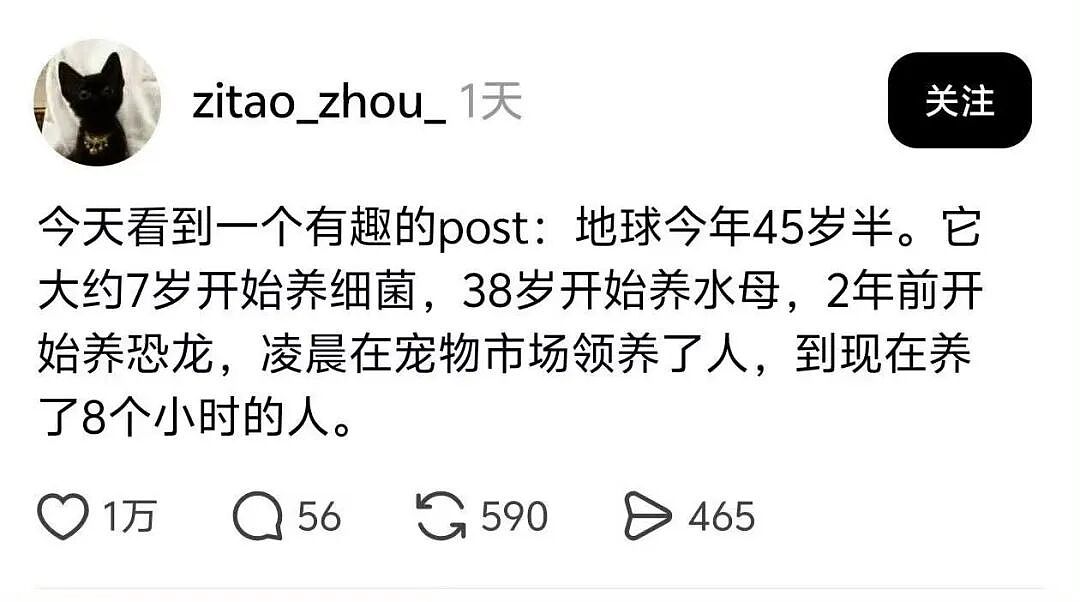 【爆笑】“给宠物乱起名字的后果......” 哈哈哈哈哈哈被网友评论笑颠过去（组图） - 93
