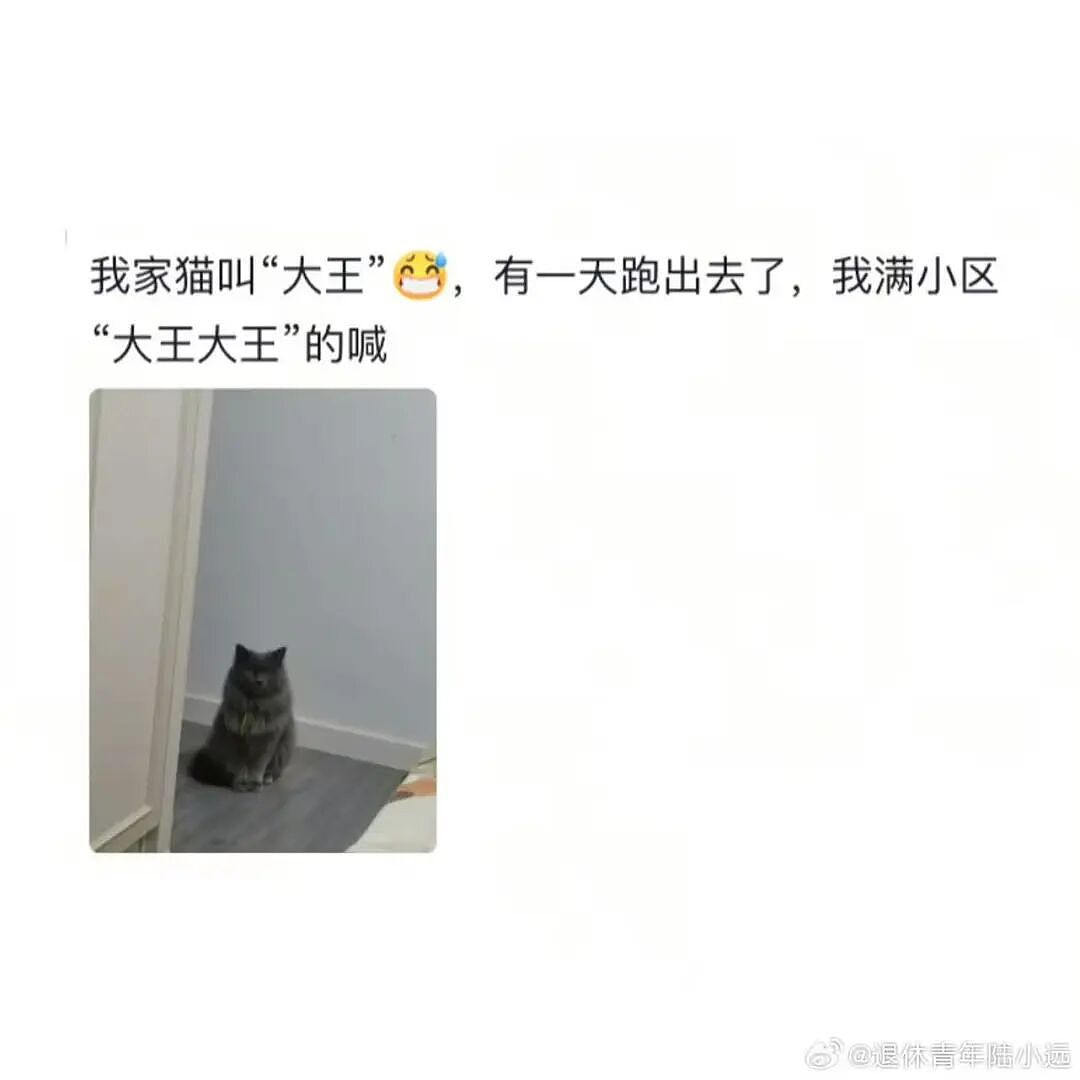 【爆笑】“给宠物乱起名字的后果......” 哈哈哈哈哈哈被网友评论笑颠过去（组图） - 9
