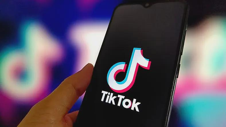 数字关税战争：TikTok争端背后的全球规则博弈（图） - 1