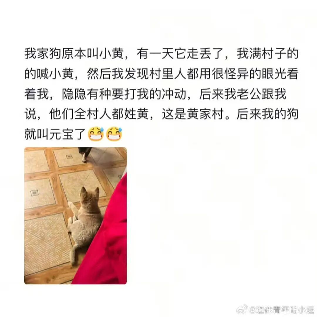【爆笑】“给宠物乱起名字的后果......” 哈哈哈哈哈哈被网友评论笑颠过去（组图） - 6