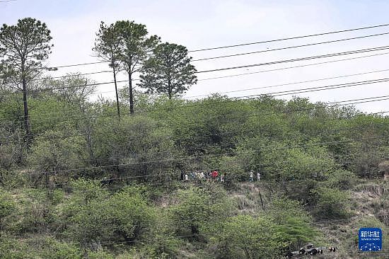 巴西里约警方剿匪行动共打死117名嫌疑人(图) - 5