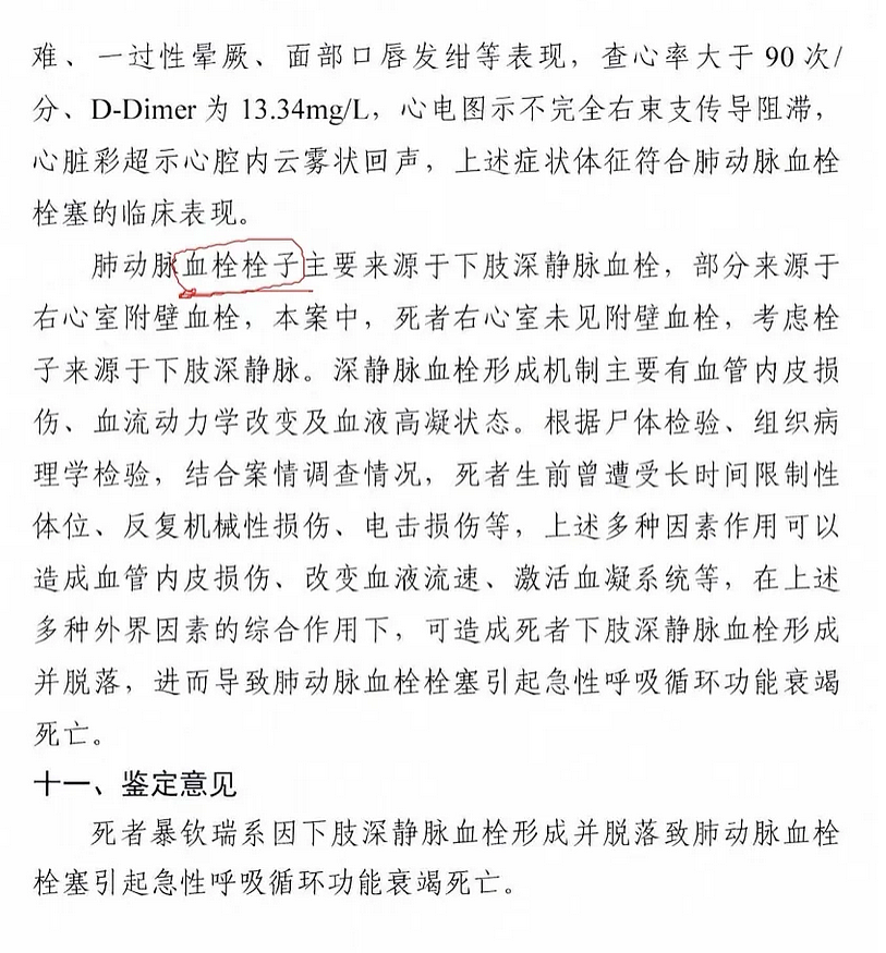 电击 “开飞机” 吊铁笼，男子遭刑讯逼供惨死（组图） - 4