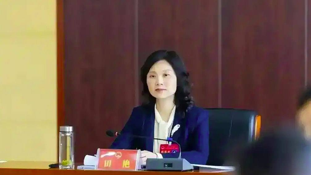 涉大搞权钱交易、捞取政治资本!贵州落马女厅官田艳被捕(组图) - 1