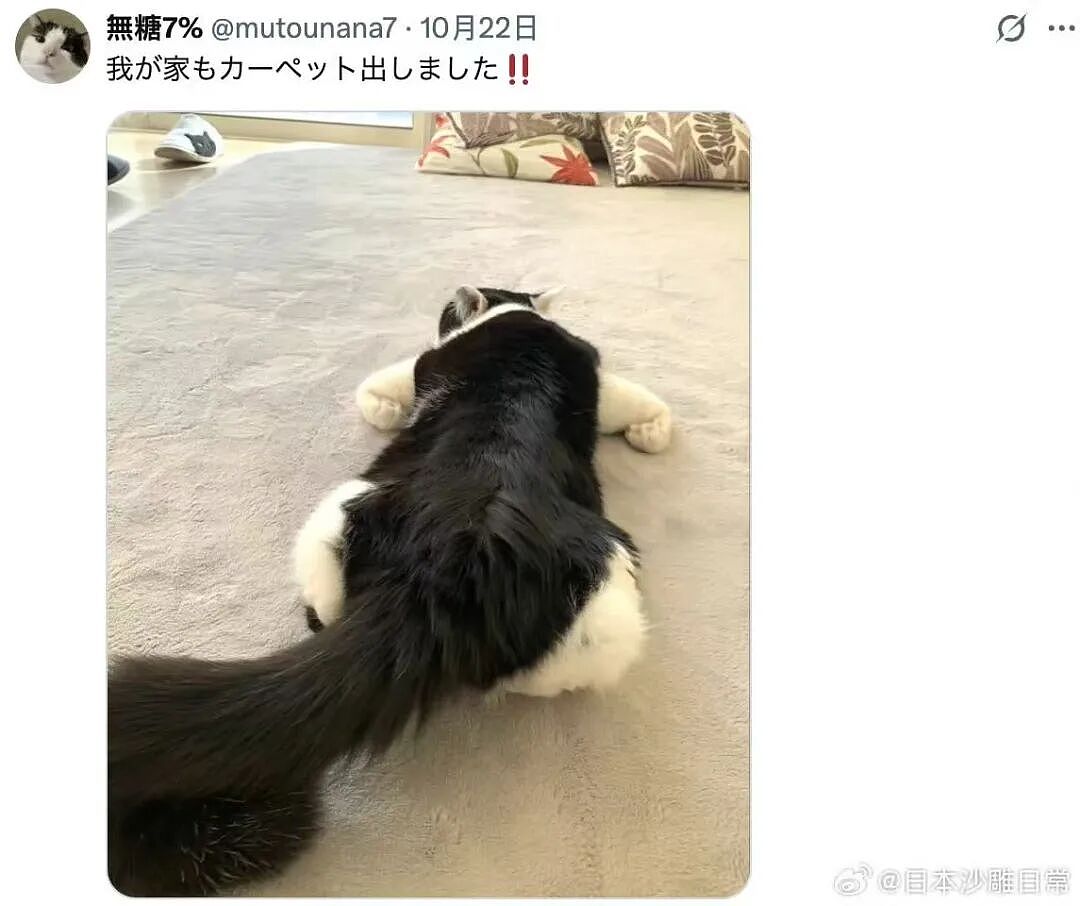 【爆笑】“给宠物乱起名字的后果......” 哈哈哈哈哈哈被网友评论笑颠过去（组图） - 44