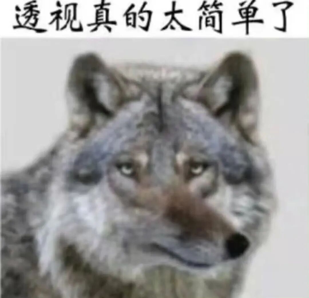 【爆笑】“给宠物乱起名字的后果......” 哈哈哈哈哈哈被网友评论笑颠过去（组图） - 49