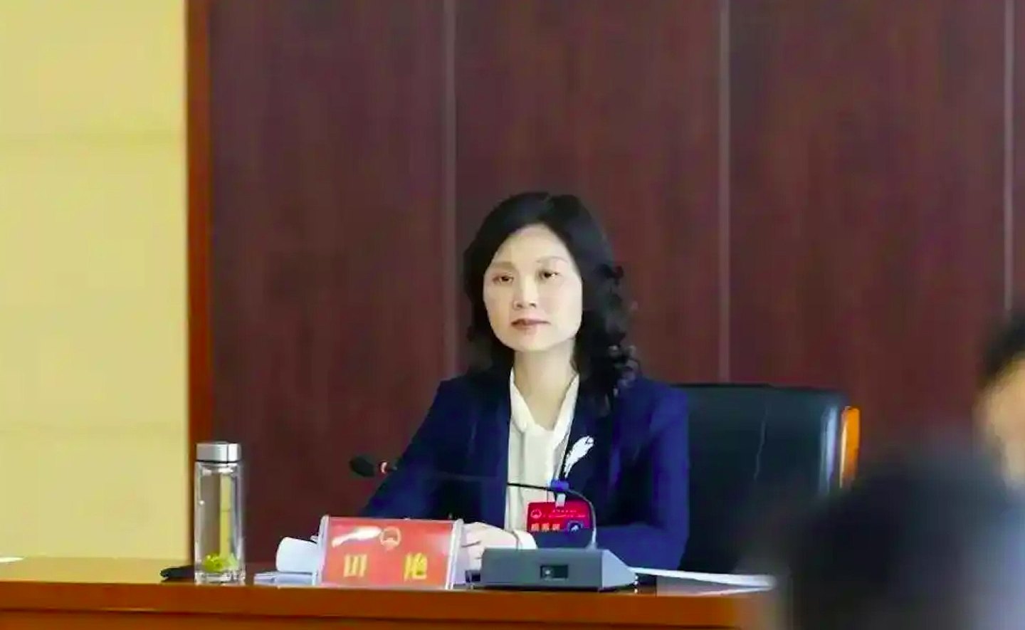 涉大搞权钱交易、捞取政治资本!贵州落马女厅官田艳被捕(组图) - 3
