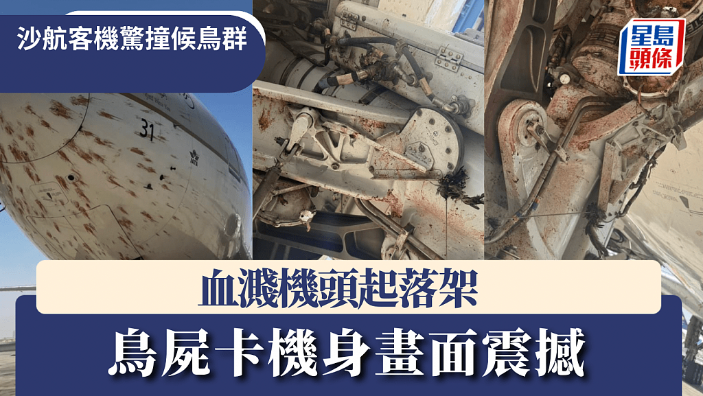 沙航波音777起飞撞候鸟！机头撞凹满布血迹画面骇人（视频/组图） - 1