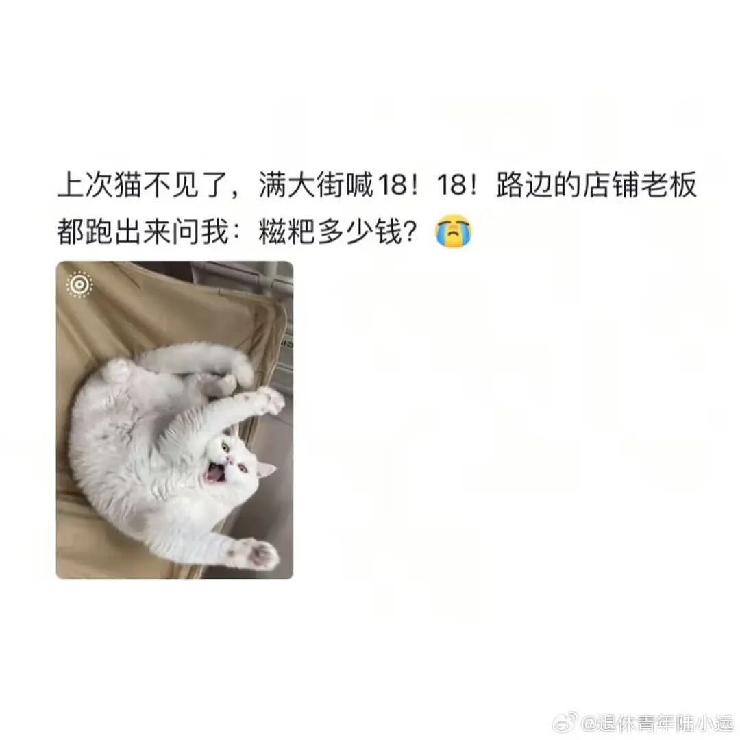 【爆笑】“给宠物乱起名字的后果......” 哈哈哈哈哈哈被网友评论笑颠过去（组图） - 7