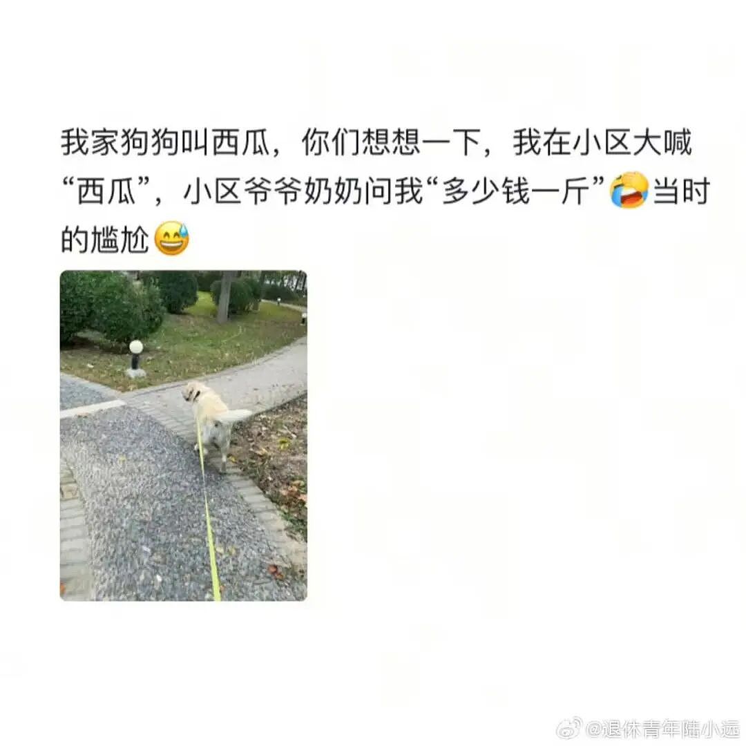 【爆笑】“给宠物乱起名字的后果......” 哈哈哈哈哈哈被网友评论笑颠过去（组图） - 5