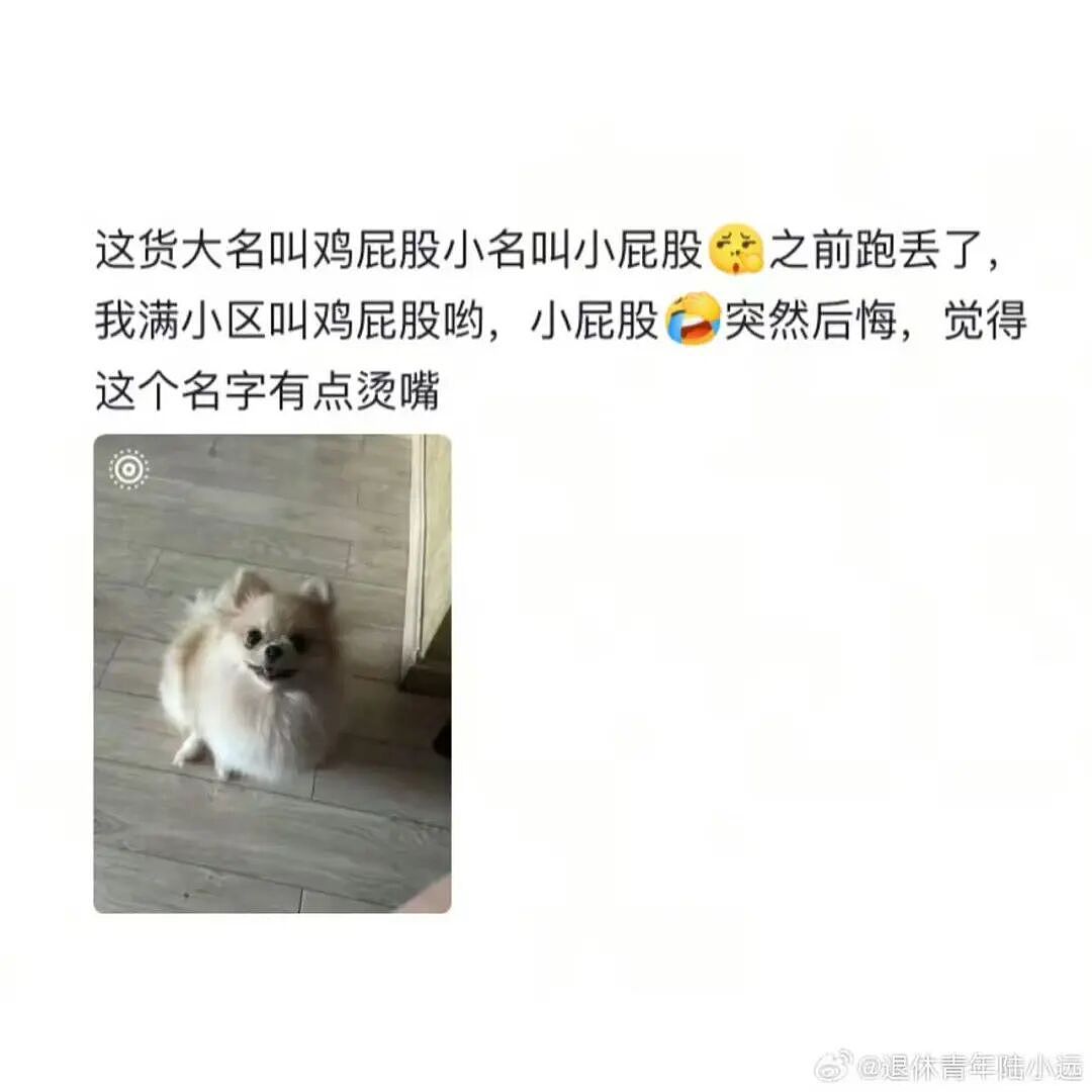 【爆笑】“给宠物乱起名字的后果......” 哈哈哈哈哈哈被网友评论笑颠过去（组图） - 10