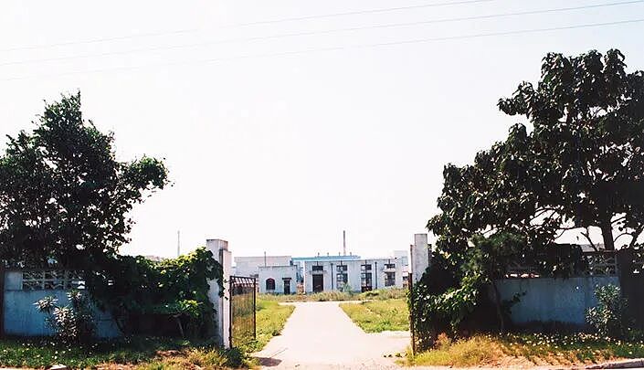 化学老师变身女首富,1410亿(组图) - 7
