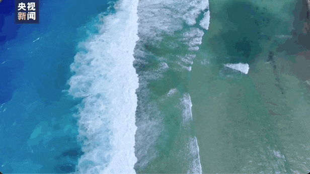 广东人,又连任了一个外国总统?(组图) - 7