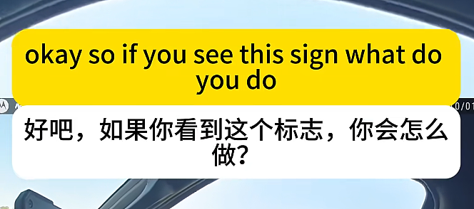 亚裔卡车司机被警察当场抽查英语,对话全程错位,把警察都整懵了(视频/组图) - 23