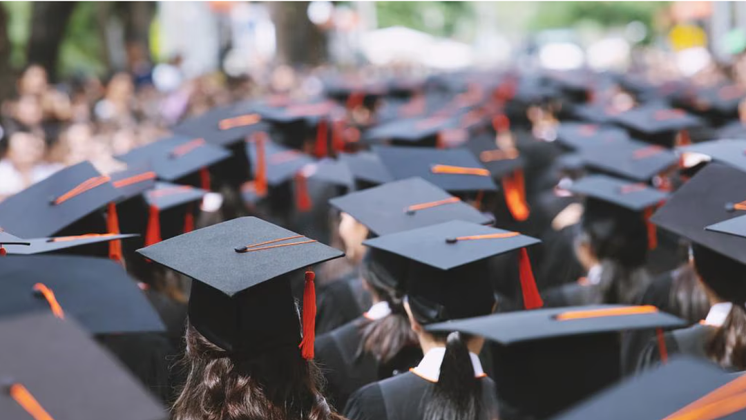 墨大降分！多校2026满位在即，高达50%奖学金申请即将截止（组图） - 1