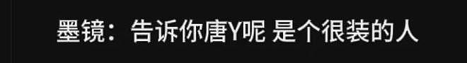 古二放王炸录音!王家卫吐槽唐嫣很装,秦雯内涵刘诗诗,太猛了(组图) - 7