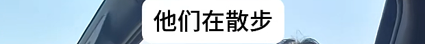 亚裔卡车司机被警察当场抽查英语,对话全程错位,把警察都整懵了(视频/组图) - 32