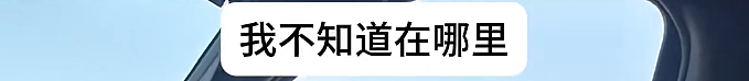 亚裔卡车司机被警察当场抽查英语,对话全程错位,把警察都整懵了(视频/组图) - 33