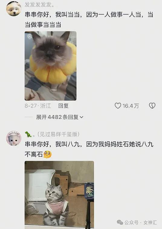 【爆笑】LV2.3w的紧身裤竟然长这样？网友笑疯：这谁敢驾驭的了（组图） - 59