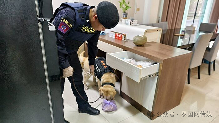 中国籍“大头目”在泰国落网！近百人被骗1亿（组图） - 10