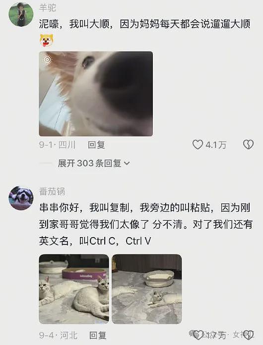 【爆笑】LV2.3w的紧身裤竟然长这样？网友笑疯：这谁敢驾驭的了（组图） - 61