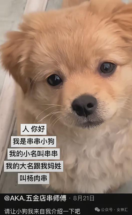 【爆笑】LV2.3w的紧身裤竟然长这样？网友笑疯：这谁敢驾驭的了（组图） - 58