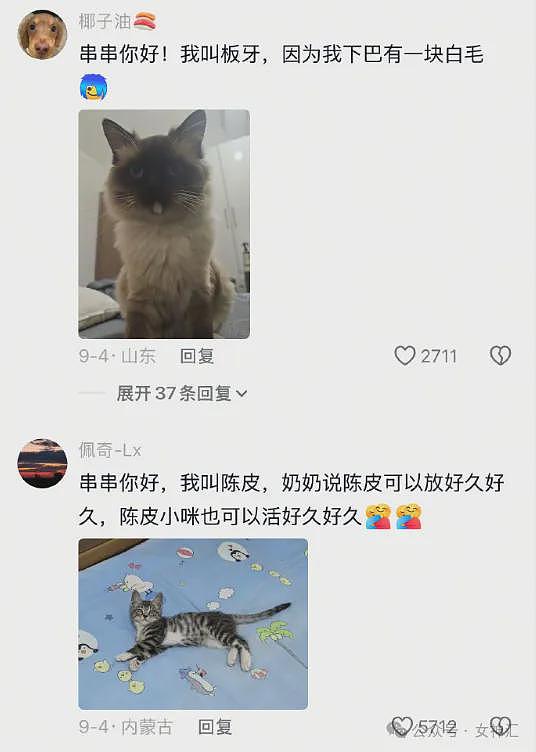 【爆笑】LV2.3w的紧身裤竟然长这样？网友笑疯：这谁敢驾驭的了（组图） - 63