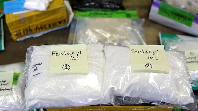 华人大毒枭张智栋传为北大校友，凭出色西班牙语上位兼娶墨西哥妻（组图） - 3
