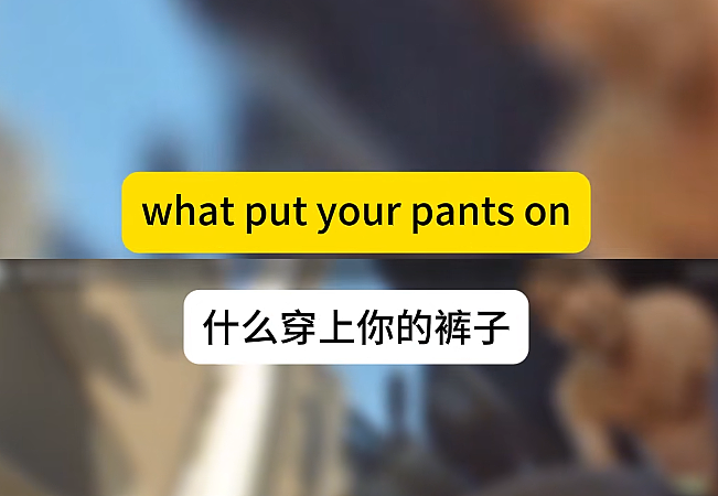亚裔卡车司机被警察当场抽查英语,对话全程错位,把警察都整懵了(视频/组图) - 8