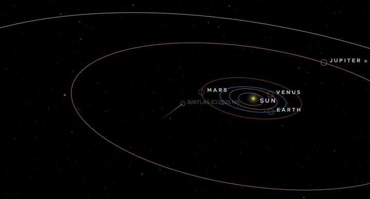 最近很多科学家头皮发麻！神秘天体突然闯入，它是外星飞船吗（组图） - 5