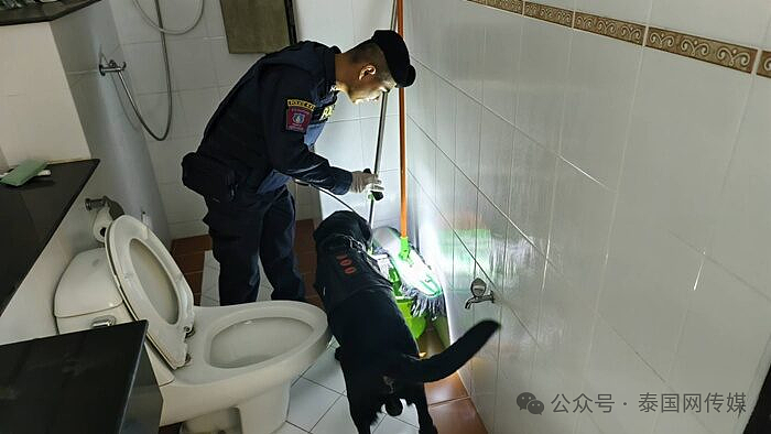 中国籍“大头目”在泰国落网！近百人被骗1亿（组图） - 9