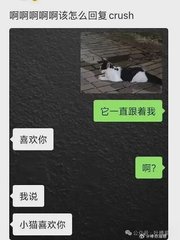 特朗普核试验威胁可能加剧中美核紧张局势 - 39