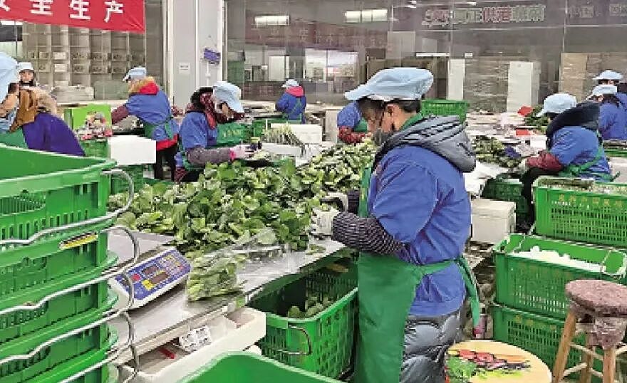 内地“穷鬼”超市,快被香港人搬空了(组图) - 24