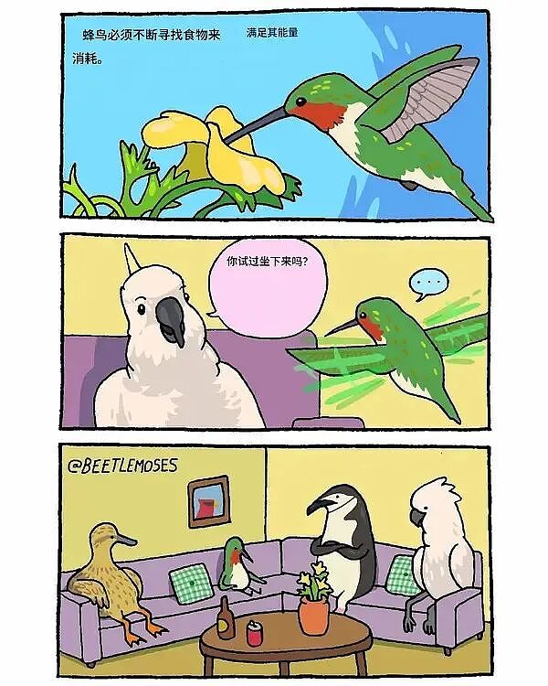 【爆笑】“内向的人怎么过万圣节？”哈哈哈哈哈哈哈虾仁猪心（组图） - 41