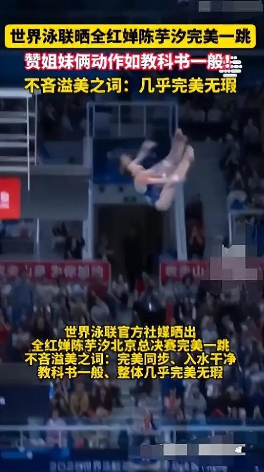 全红婵也没想到！央视专访这次，陈芋汐仅一句话就让自己口碑暴涨（组图） - 3