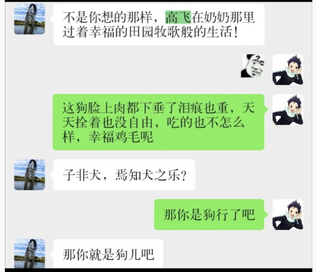 【爆笑】“内向的人怎么过万圣节？”哈哈哈哈哈哈哈虾仁猪心（组图） - 80