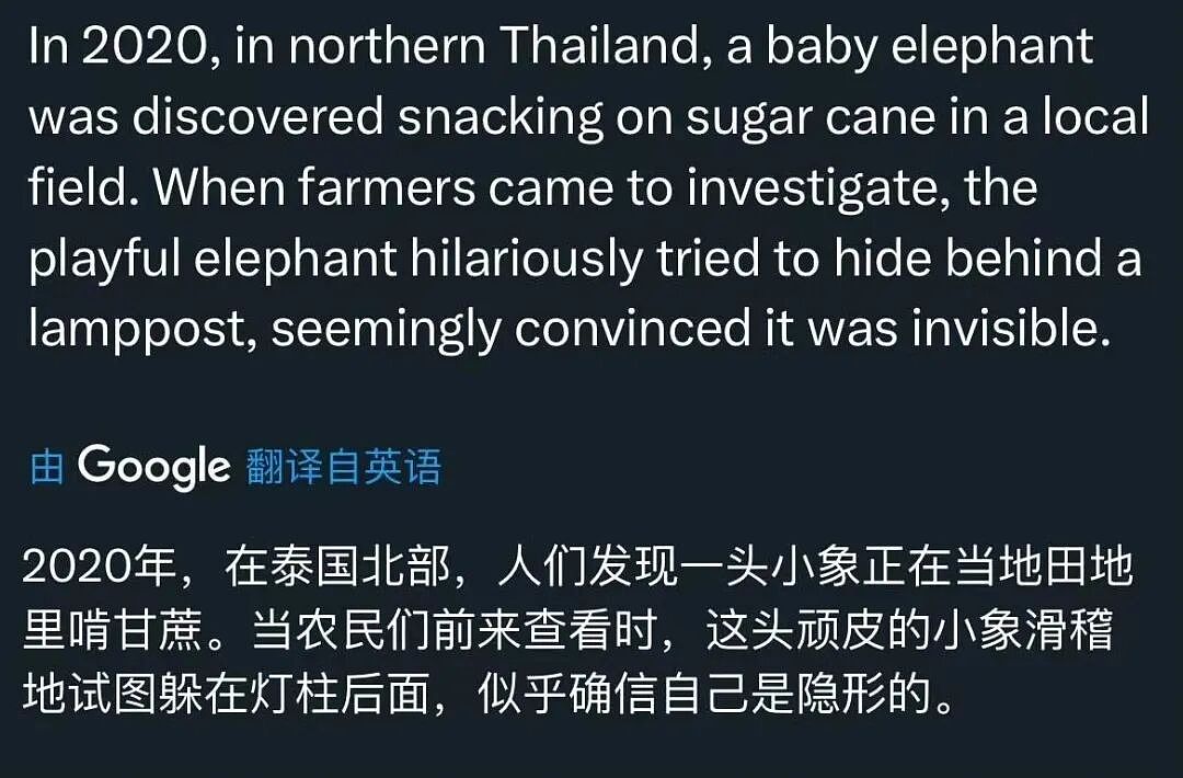 【爆笑】“学生家长的职业可以有多高大上?”哈哈哈哈哈哈哈我大为震惊!(组图) - 26